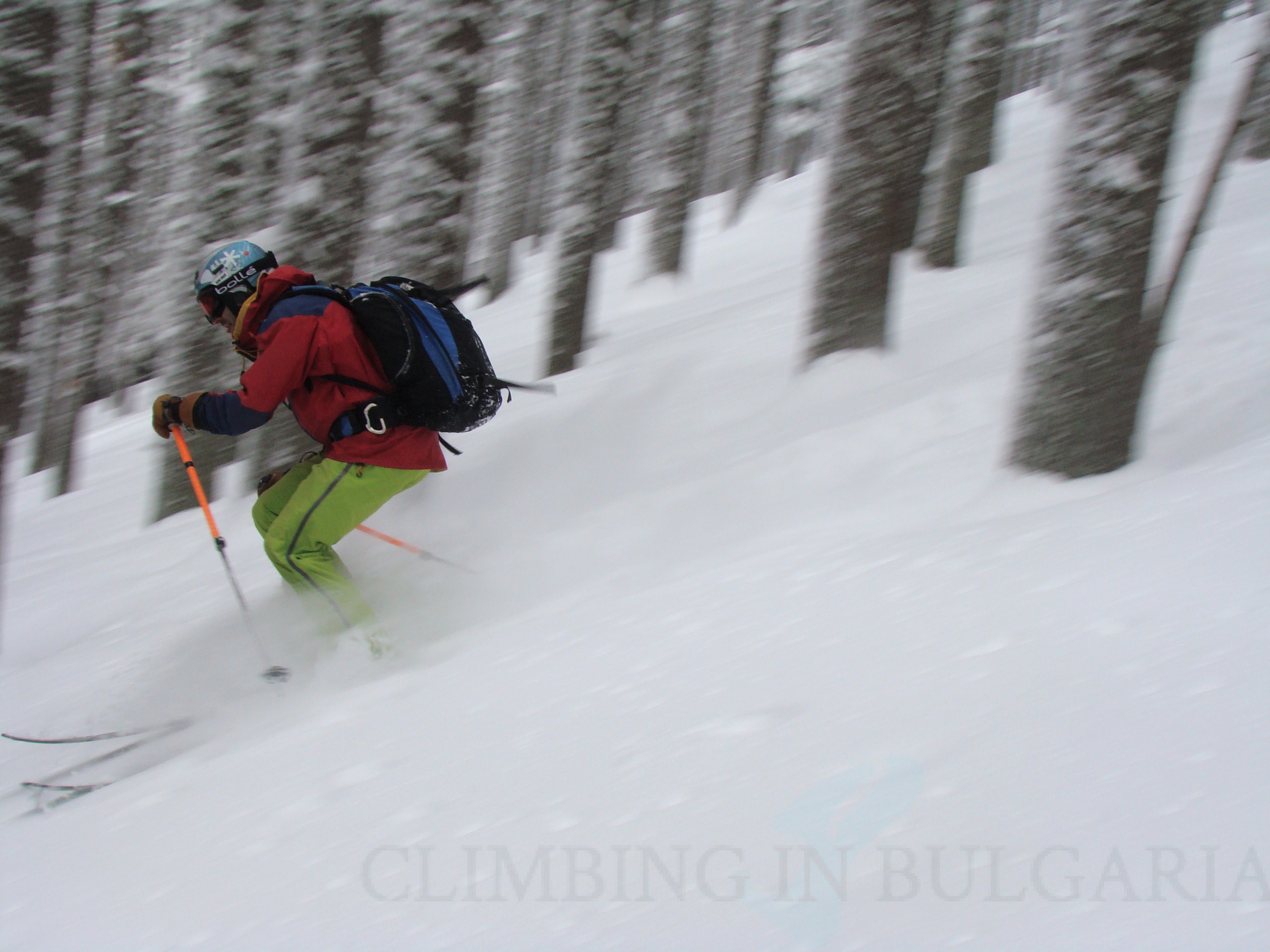 Ski riding in the forest of Pirin mountain, Backcountry skiing in Bulgaria